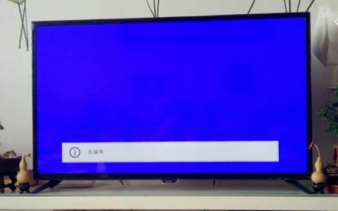 电视不小心按成蓝屏了怎么弄回来