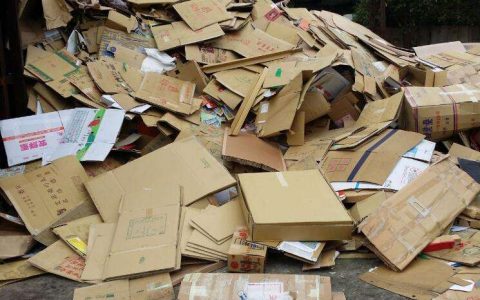 废纸回收的重要性：回收1吨废纸可省300公斤原木材-泊祎回收网