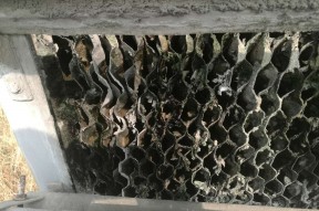 如何做好溴化锂制冷机维护保养？