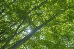 部委力挺废旧家电换新消费，厂商不能再无动于衷！