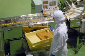 我要借钱马上到账,独家整理十款17岁借钱急用小额