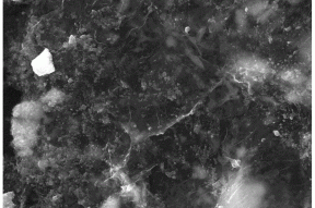 一种钨基氧化物／碳基纳米复合水溶胶的制备及其在废水处理中的应用的制作方法