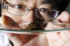 镨钕系商品再下滑 稀土市场跌势不止