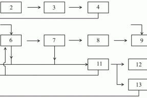 一种含酚废水的生化处理装置及其方法和应用与流程