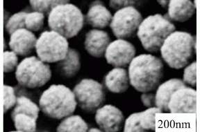 一种生物流化床用复合载体材料及其制备方法与流程