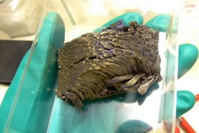 稀土市场虽现利好 价格却仍然疲软