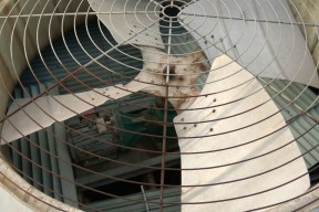 溴化锂制冷机冷却塔日常检修