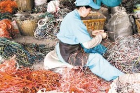 国内再生金属现货市场行情