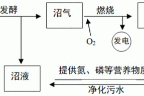 高浓度CO2氛围驯化微藻耐高氨氮沼液的方法与流程