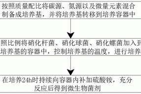 一种高效脱氮微生物菌剂的制作方法